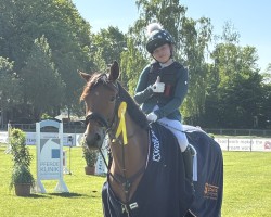 jumper Heidediamant (Trakehner, 2016, from Perfekt 60)
