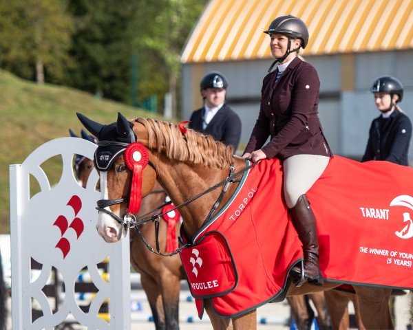 Springpferd Chaccartoon W (Polnisches Warmblut, 2019, von Chacco Nann)