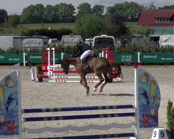 Reitturnier Sauldorf-Boll 2025