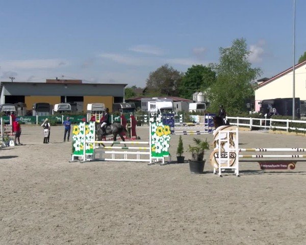 Reitturnier Sauldorf-Boll 2025