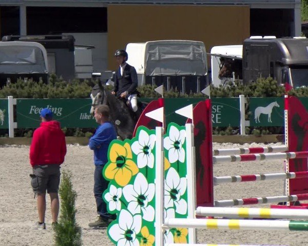 Reitturnier Sauldorf-Boll 2025