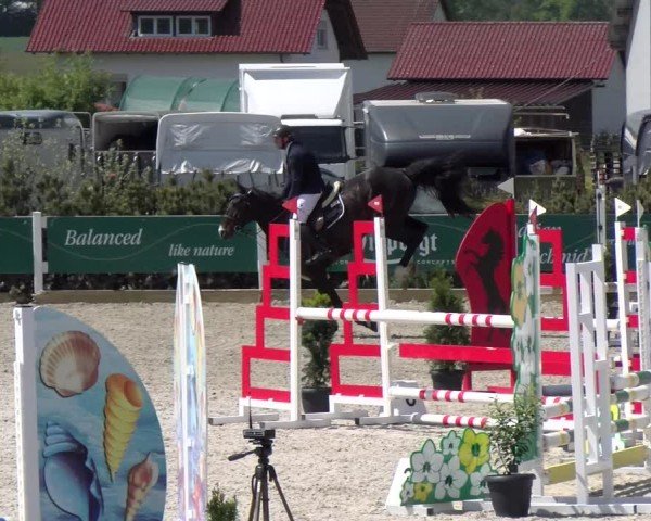 Reitturnier Sauldorf-Boll 2025