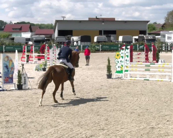 Reitturnier Sauldorf-Boll 2025