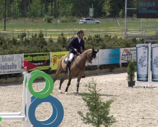 Reitturnier Sauldorf-Boll 2025