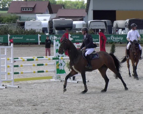 Reitturnier Sauldorf-Boll 2025