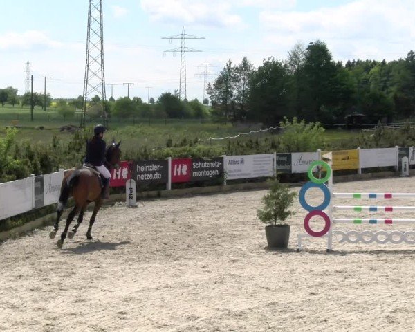 Reitturnier Sauldorf-Boll 2025
