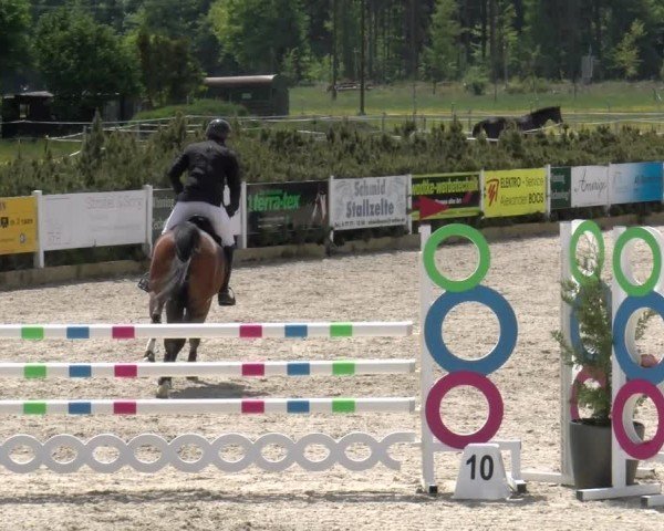 Reitturnier Sauldorf-Boll 2025