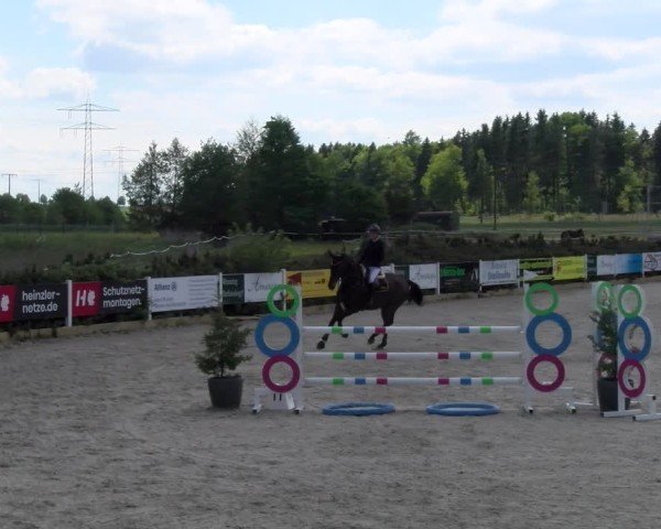Reitturnier Sauldorf-Boll 2025