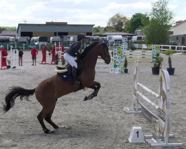 Reitturnier Sauldorf-Boll 2025
