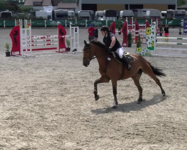 Reitturnier Sauldorf-Boll 2025