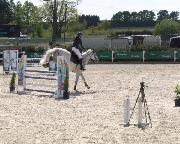 Reitturnier Sauldorf-Boll 2025