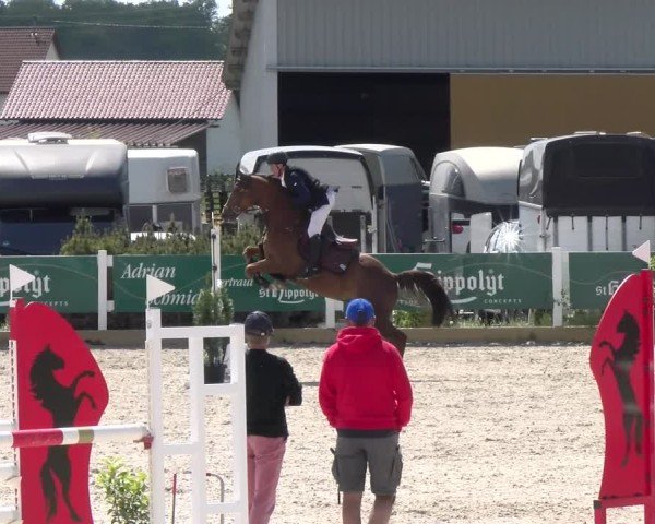 Reitturnier Sauldorf-Boll 2025