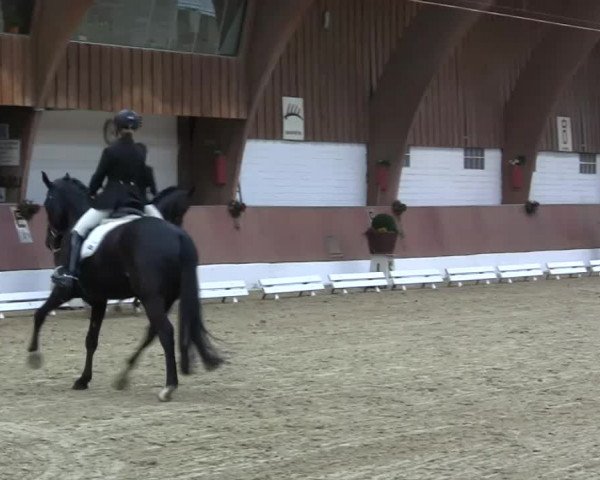 Krefeld - Reitanlage Kühnen, Junge-Pferde-Turnier 2014