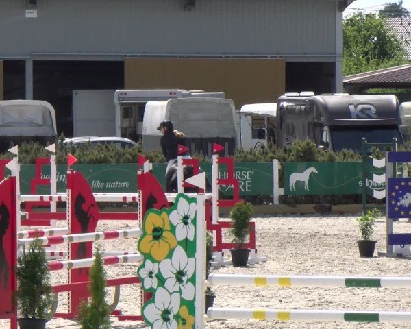 Reitturnier Sauldorf-Boll 2025