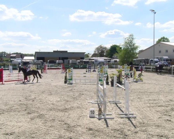 Reitturnier Sauldorf-Boll 2025