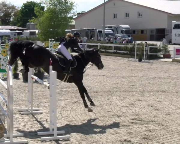 Reitturnier Sauldorf-Boll 2025