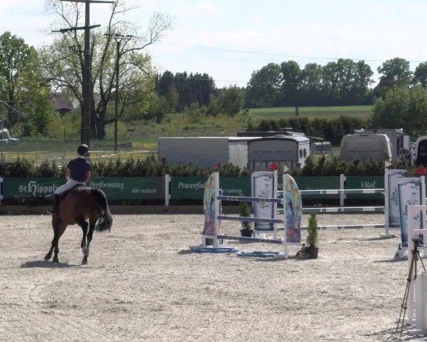 Reitturnier Sauldorf-Boll 2025