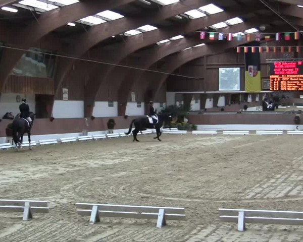 Krefeld - Reitanlage Kühnen, Junge-Pferde-Turnier 2014