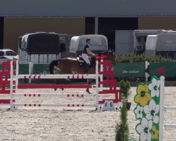 Reitturnier Sauldorf-Boll 2025