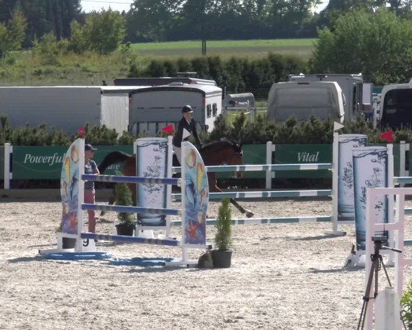 Reitturnier Sauldorf-Boll 2025