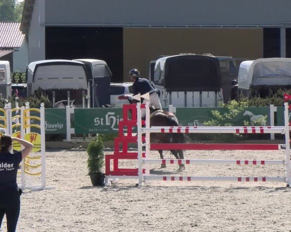 Reitturnier Sauldorf-Boll 2025