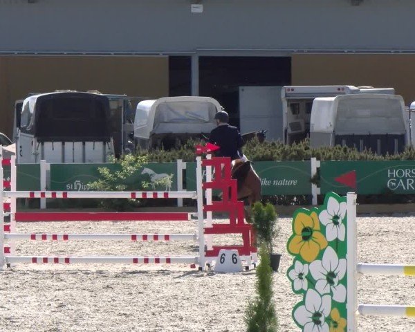 Reitturnier Sauldorf-Boll 2025