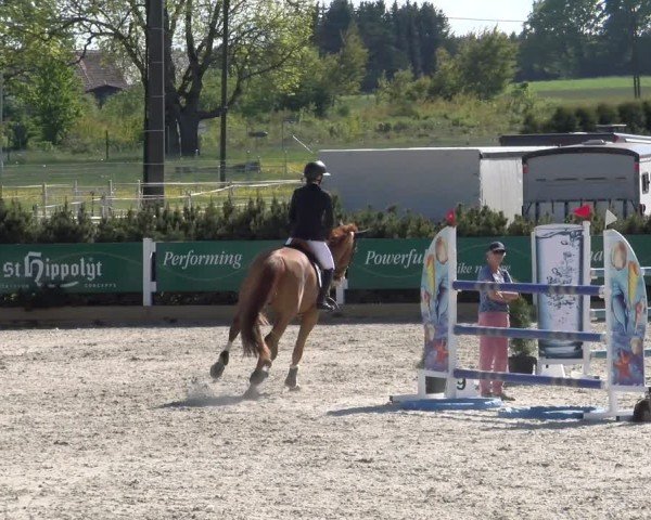 Reitturnier Sauldorf-Boll 2025