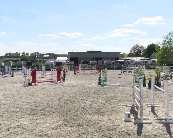 Reitturnier Sauldorf-Boll 2025