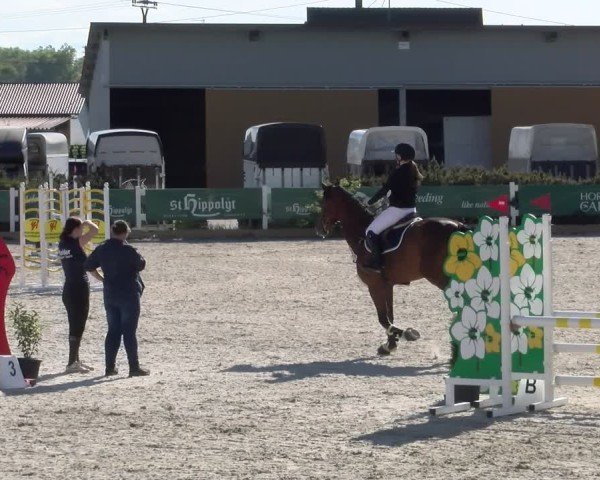 Reitturnier Sauldorf-Boll 2025