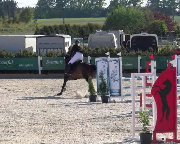 Reitturnier Sauldorf-Boll 2025
