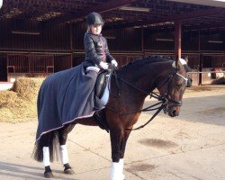 dressage horse Me Lady 5 (unknown, 2003)