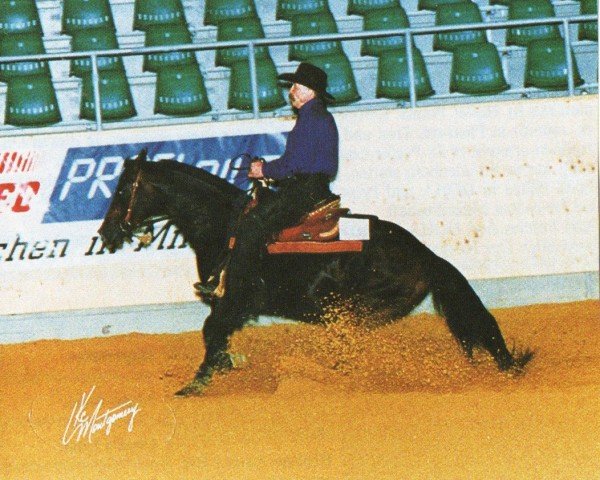 stallion Poco Jameen Chex (Quarter Horse, 1992, from Sir Poco Frosty)