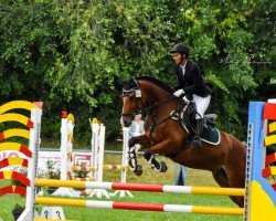 Caballo C'est la vie (desconocido, 2019)