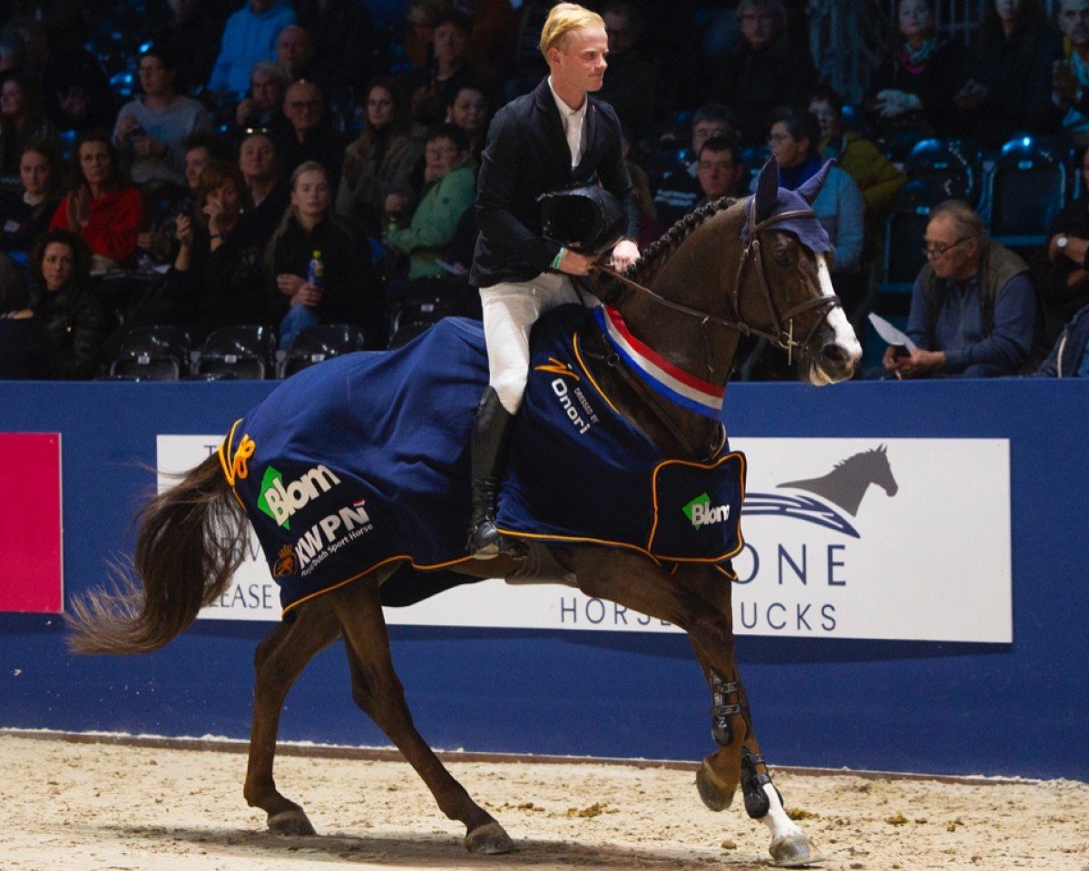 stallion New Pleasure VDL (Belgian Warmblood, 2018, from For Pleasure)