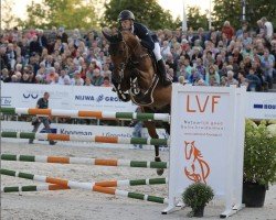 jumper Beemdgraaf (KWPN (Royal Dutch Sporthorse), 2006, from Quasimodo Z)