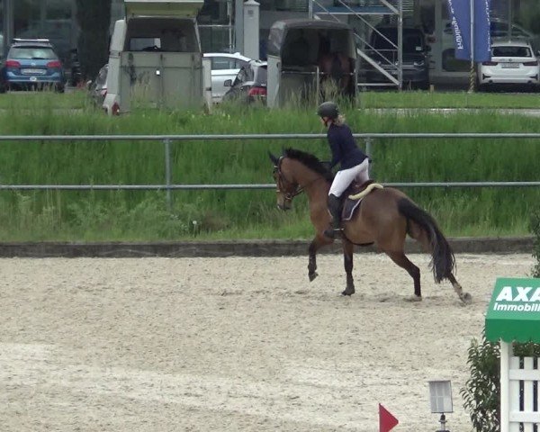 Reitturnier Werdenberg 2025