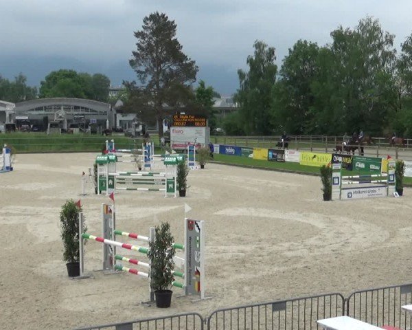 Reitturnier Werdenberg 2025