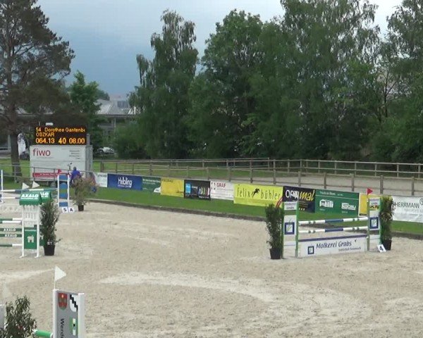 Reitturnier Werdenberg 2025