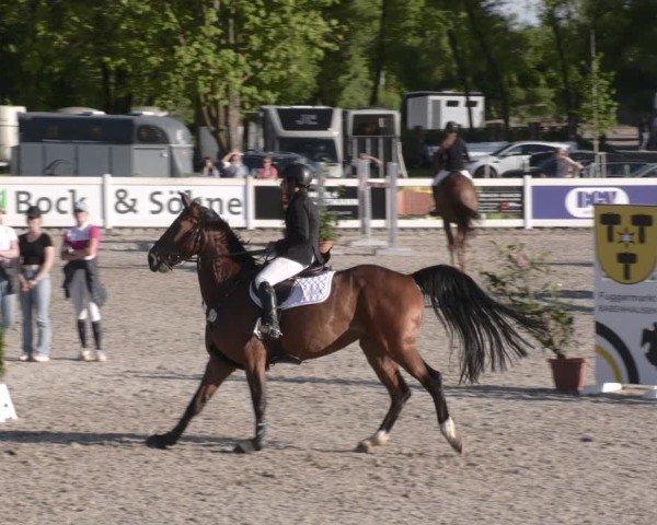Reitturnier Babenhausen 2025