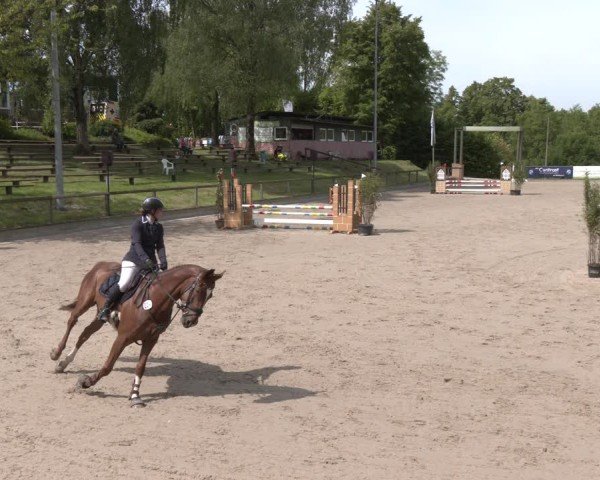Reitturnier Erkrath - Uhlenhof 2025
