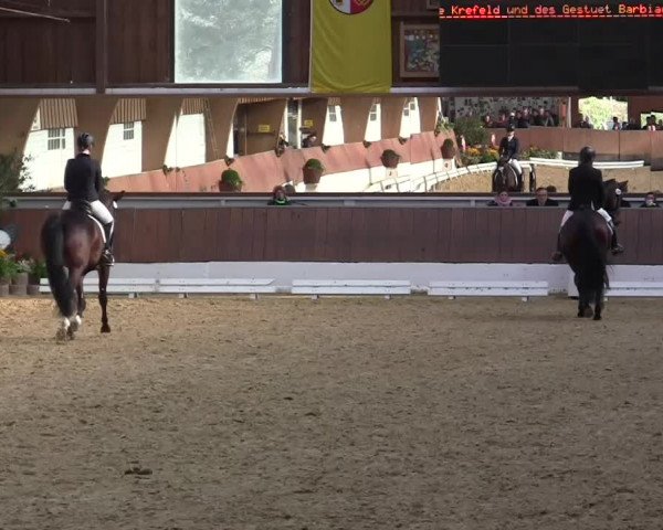 Krefeld - Reitanlage Kühnen, Junge-Pferde-Turnier 2014