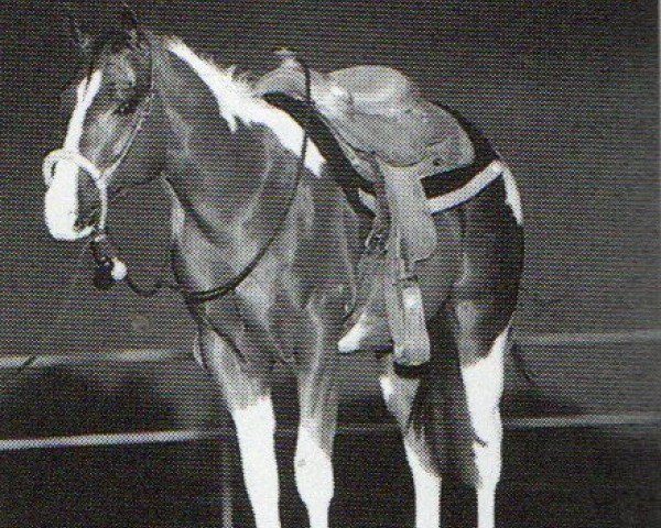 horse Show Me Zip (Paint Horse, 1997, from Mr Rusty Zipper)