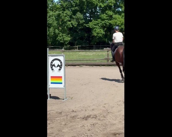 Video von Zampano RV