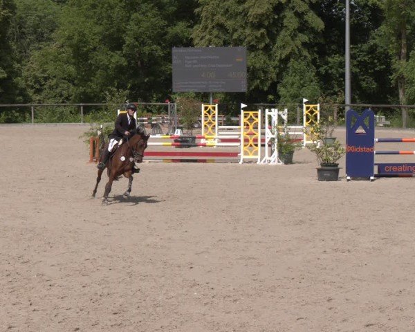 Reitturnier Erkrath - Uhlenhof 2025