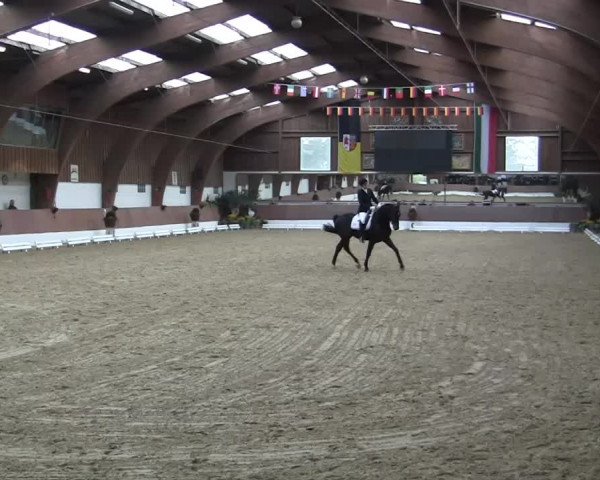 Krefeld - Reitanlage Kühnen, Junge-Pferde-Turnier 2014