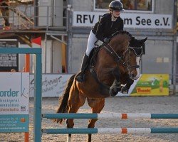jumper Eco Dos Grous (Cruzado-Portugues, 2009, from Zenite de Grous)