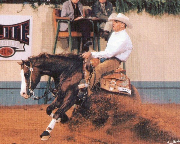 horse Gunner San Juan (Paint Horse, 2003, from Colonels Smoking Gun)