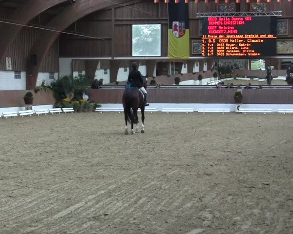 Krefeld - Reitanlage Kühnen, Junge-Pferde-Turnier 2014