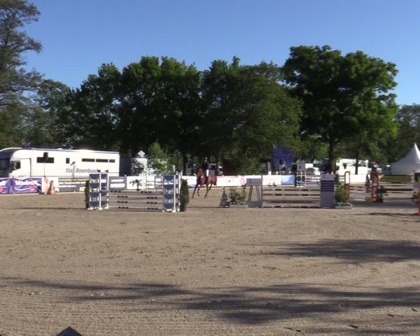 Reitturnier Bremen - Reitanlage Forkert 2025
