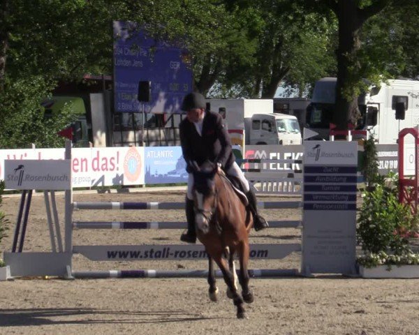 Reitturnier Bremen - Reitanlage Forkert 2025